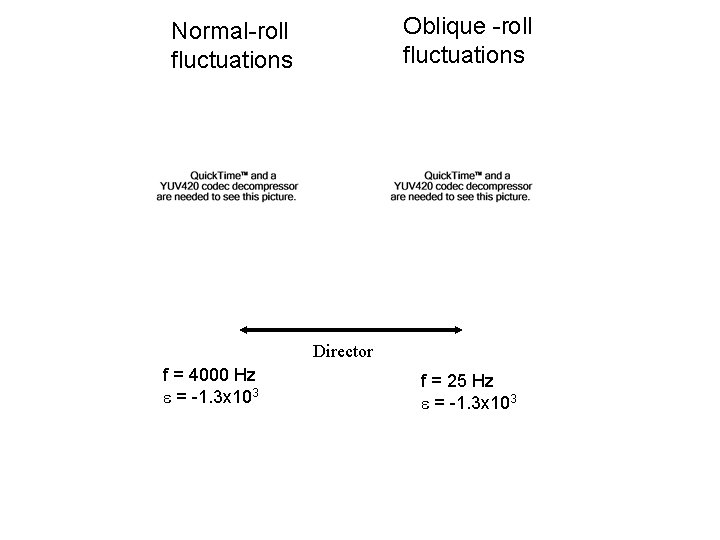 Oblique -roll fluctuations Normal-roll fluctuations Director f = 4000 Hz e = -1. 3
