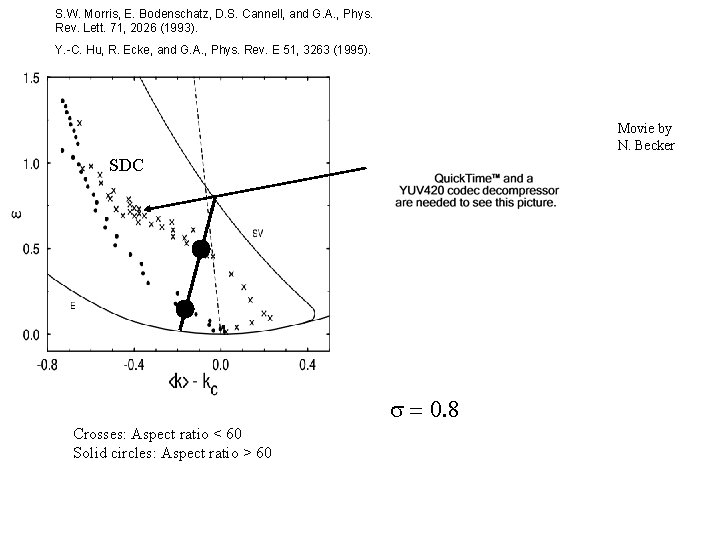 S. W. Morris, E. Bodenschatz, D. S. Cannell, and G. A. , Phys. Rev.