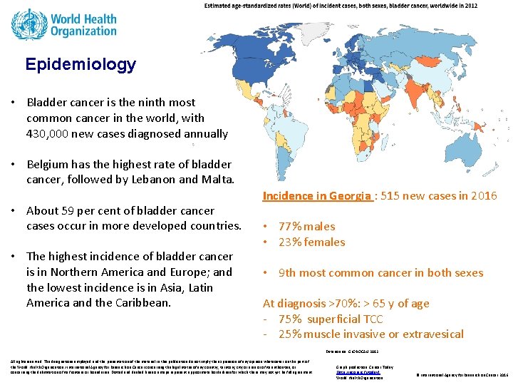 Epidemiology • Bladder cancer is the ninth most common cancer in the world, with