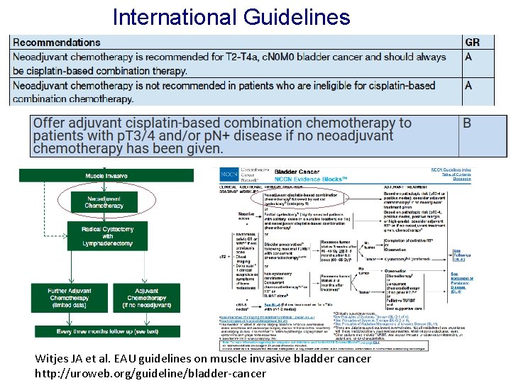International Guidelines Witjes JA et al. EAU guidelines on muscle invasive bladder cancer http: