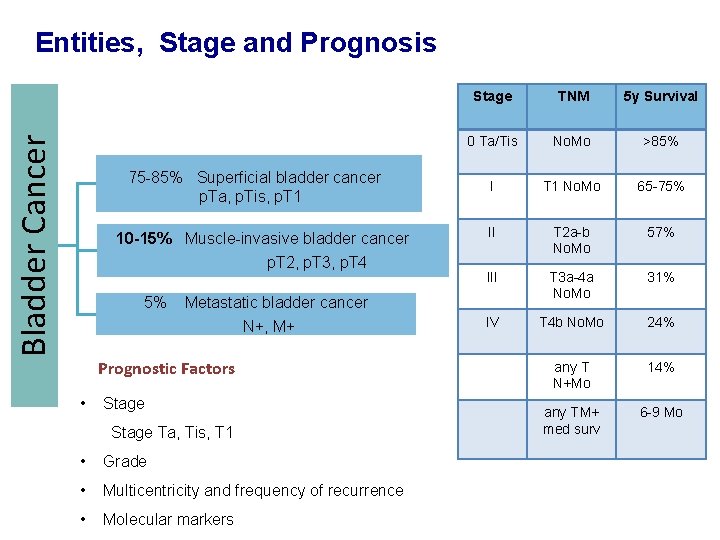 Bladder Cancer Entities, Stage and Prognosis 75 -85% Superficial bladder cancer p. Ta, p.