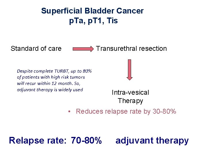 Superficial Bladder Cancer p. Ta, p. T 1, Tis Standard of care Transurethral resection