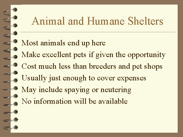 Animal and Humane Shelters Most animals end up here Make excellent pets if given
