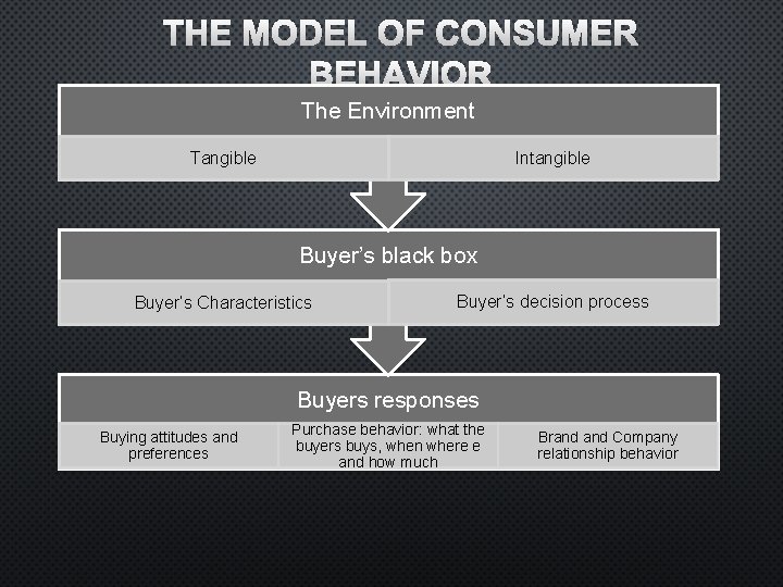 THE MODEL OF CONSUMER BEHAVIOR The Environment Tangible Intangible Buyer’s black box Buyer’s Characteristics