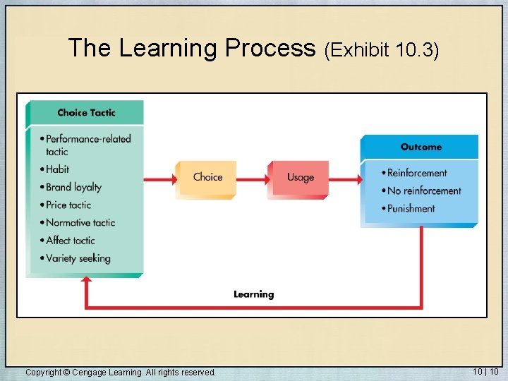 The Learning Process (Exhibit 10. 3) Copyright © Cengage Learning. All rights reserved. 10