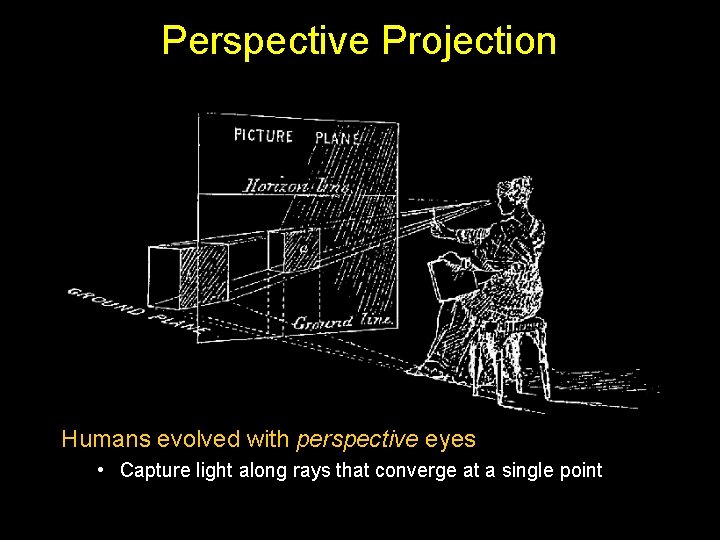 Perspective Projection Humans evolved with perspective eyes • Capture light along rays that converge