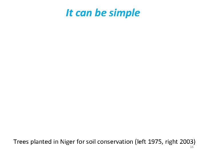 It can be simple Trees planted in Niger for soil conservation (left 1975, right