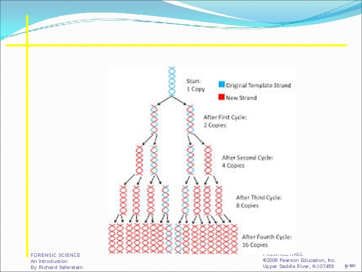 FORENSIC SCIENCE An Introduction By Richard Saferstein PRENTICE HALL © 2008 Pearson Education, Inc.