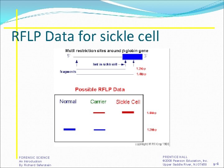 RFLP Data for sickle cell FORENSIC SCIENCE An Introduction By Richard Saferstein PRENTICE HALL