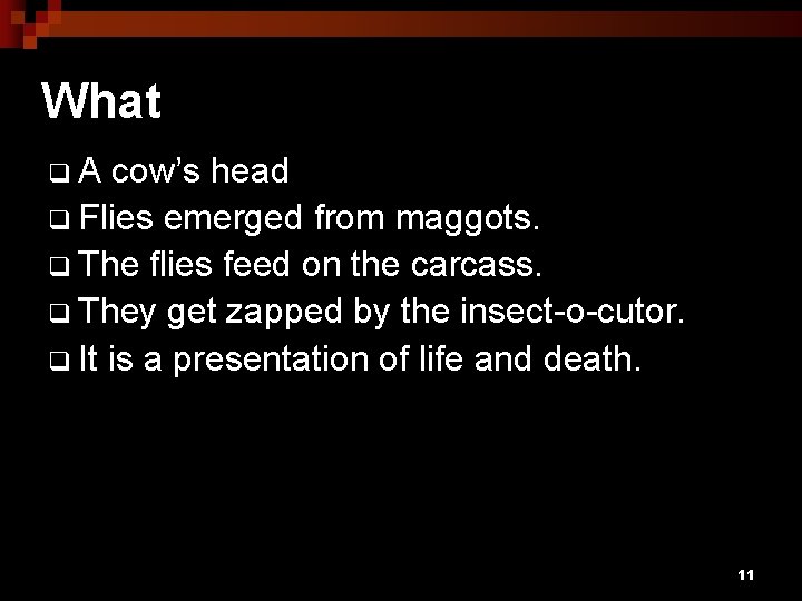 What q. A cow’s head q Flies emerged from maggots. q The flies feed