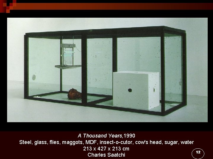 A Thousand Years, 1990 Steel, glass, flies, maggots, MDF, insect-o-cutor, cow's head, sugar, water