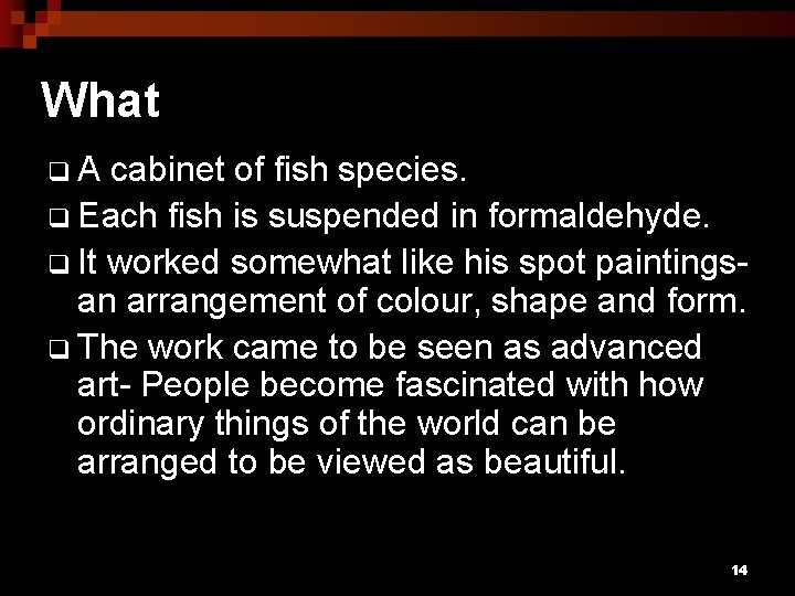 What q. A cabinet of fish species. q Each fish is suspended in formaldehyde.