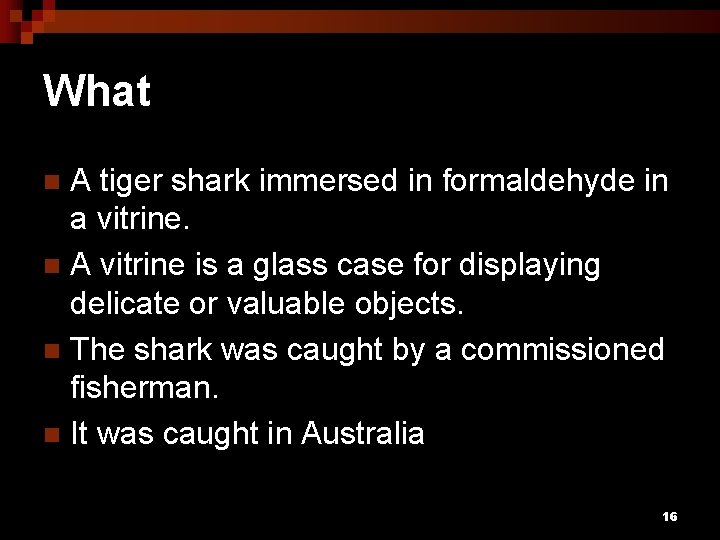 What A tiger shark immersed in formaldehyde in a vitrine. n A vitrine is