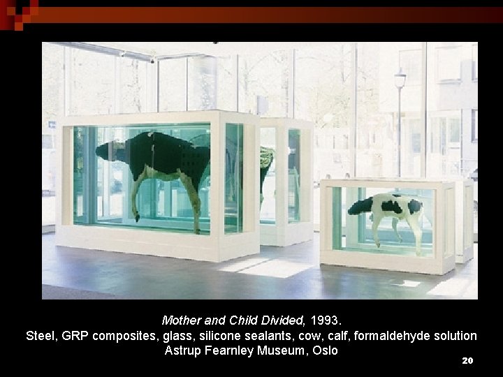 Mother and Child Divided, 1993. Steel, GRP composites, glass, silicone sealants, cow, calf, formaldehyde