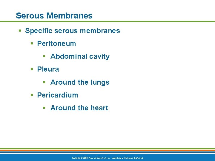 Serous Membranes § Specific serous membranes § Peritoneum § Abdominal cavity § Pleura §