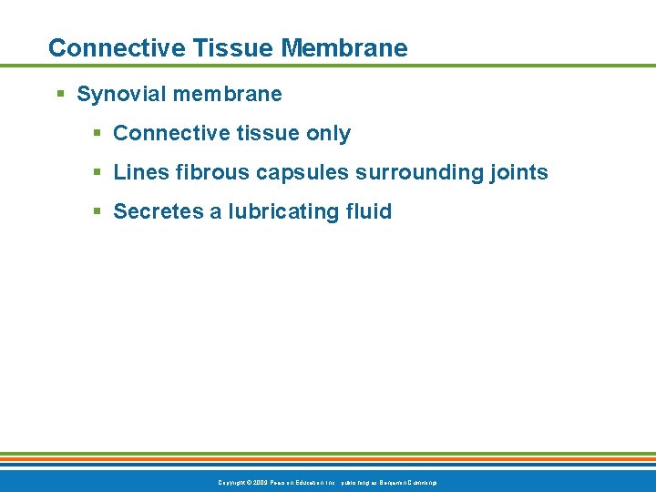 Connective Tissue Membrane § Synovial membrane § Connective tissue only § Lines fibrous capsules