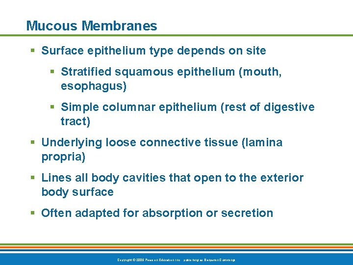 Mucous Membranes § Surface epithelium type depends on site § Stratified squamous epithelium (mouth,