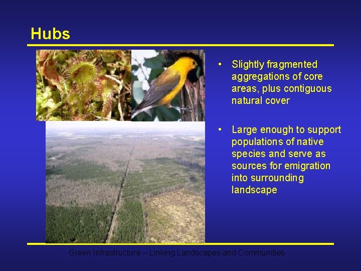 Hubs • Slightly fragmented aggregations of core areas, plus contiguous natural cover • Large