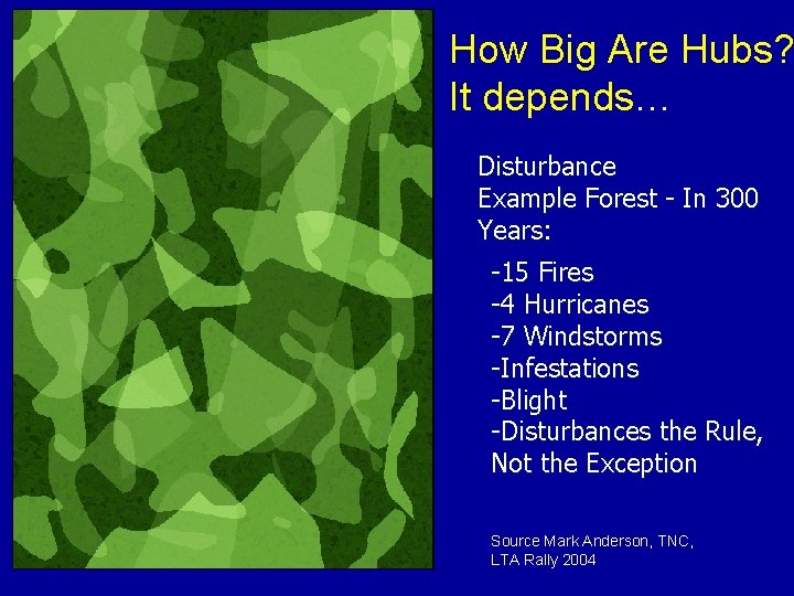 How Big Are Hubs? It depends… Disturbance Example Forest - In 300 Years: -15