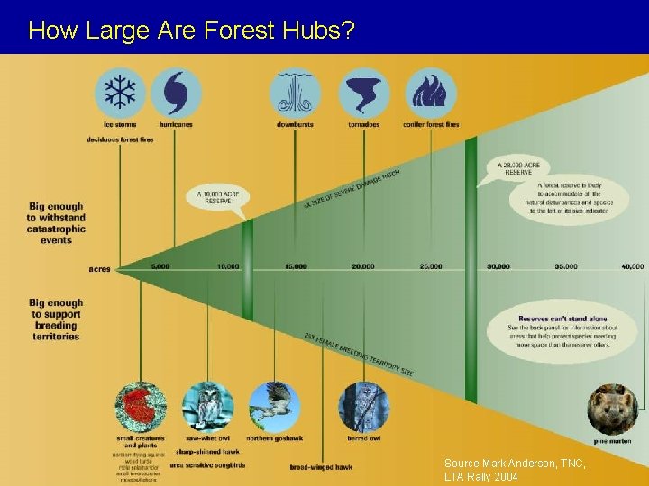 How Large Are Forest Hubs? Source Mark Anderson, TNC, LTA Rally 2004 