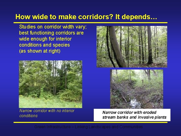 How wide to make corridors? It depends… Studies on corridor width vary; best functioning