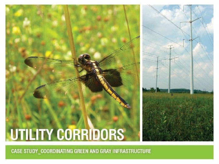 Green Infrastructure – Linking Landscapes and Communities 