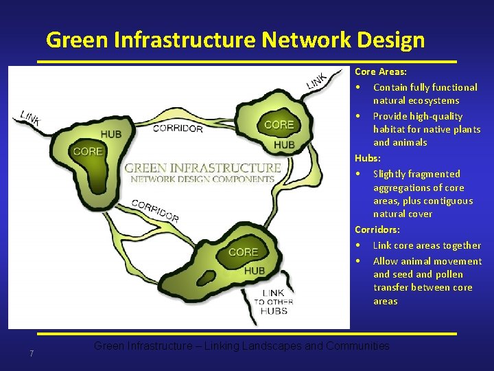 Green Infrastructure Network Design Core Areas: • Contain fully functional natural ecosystems • Provide