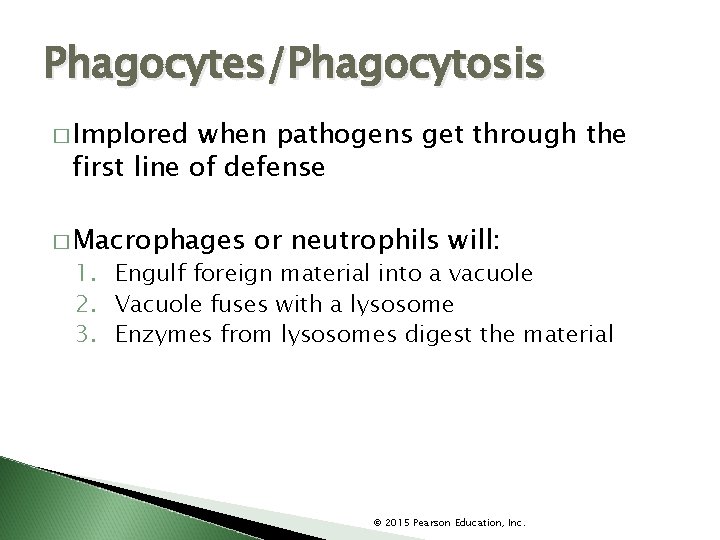 Phagocytes/Phagocytosis � Implored when pathogens get through the first line of defense � Macrophages