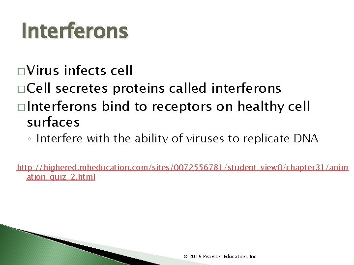 Interferons � Virus infects cell � Cell secretes proteins called interferons � Interferons bind