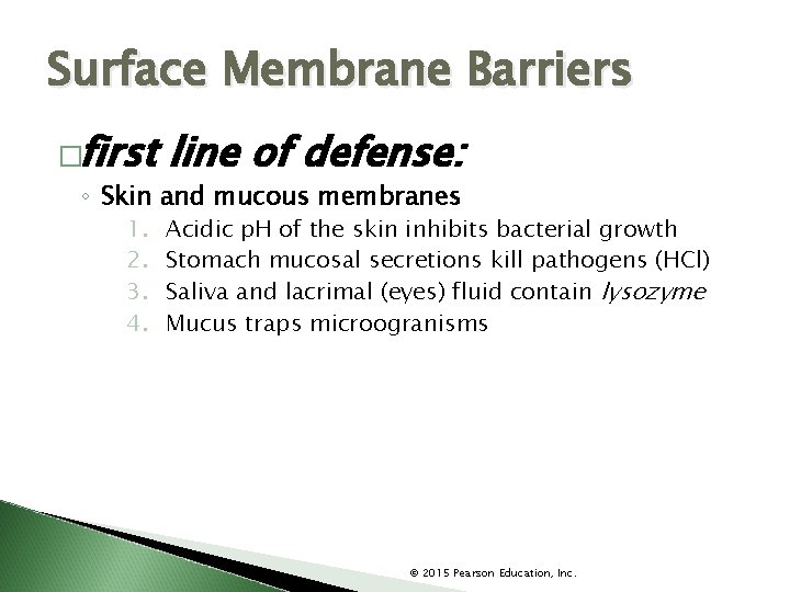 Surface Membrane Barriers �first line of defense: ◦ Skin and mucous membranes 1. 2.