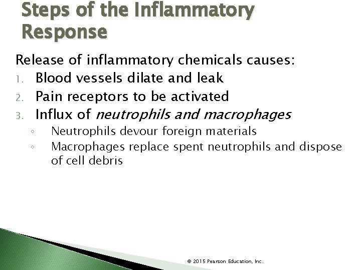 Steps of the Inflammatory Response Release of inflammatory chemicals causes: 1. Blood vessels dilate