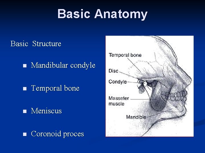 Basic Anatomy Basic Structure n Mandibular condyle n Temporal bone n Meniscus n Coronoid