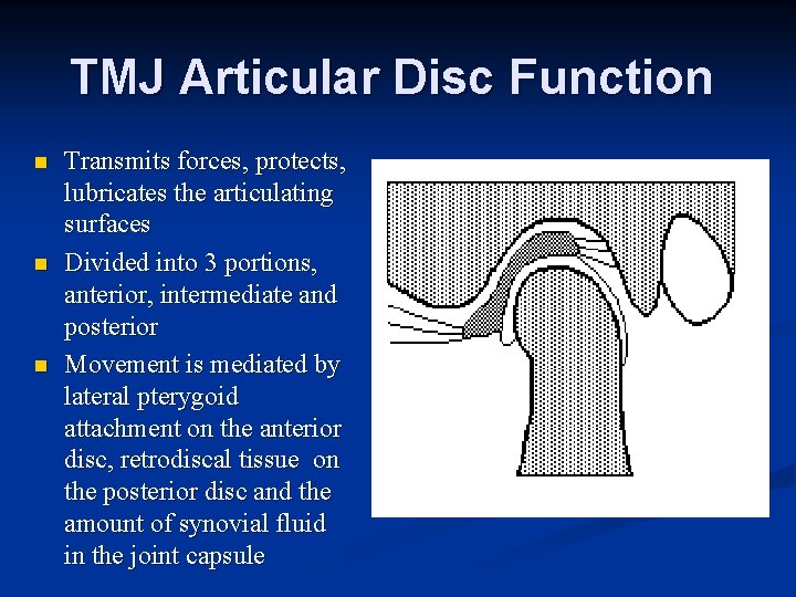 TMJ Articular Disc Function n Transmits forces, protects, lubricates the articulating surfaces Divided into