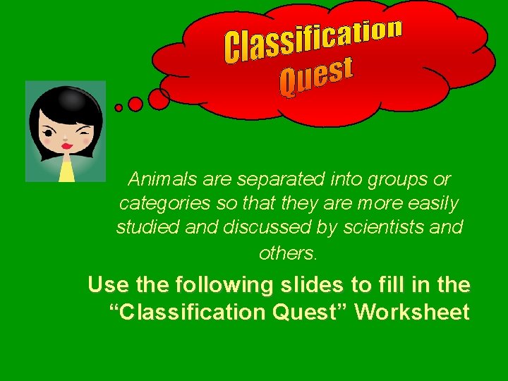 Animals are separated into groups or categories so that they are more easily studied