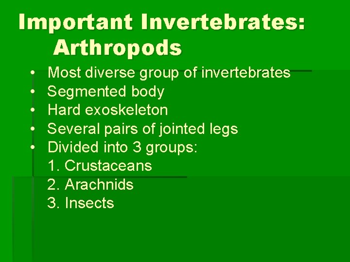 Important Invertebrates: Arthropods • • • Most diverse group of invertebrates Segmented body Hard