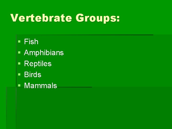 Vertebrate Groups: § § § Fish Amphibians Reptiles Birds Mammals 