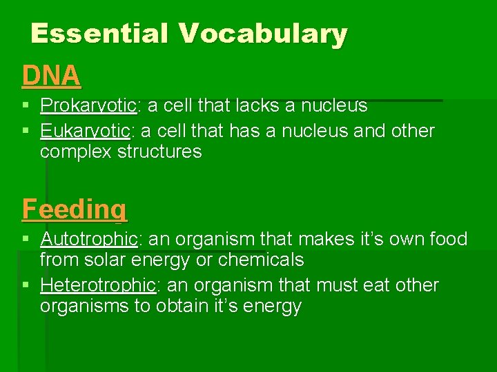 Essential Vocabulary DNA . § Prokaryotic: a cell that lacks a nucleus § Eukaryotic: