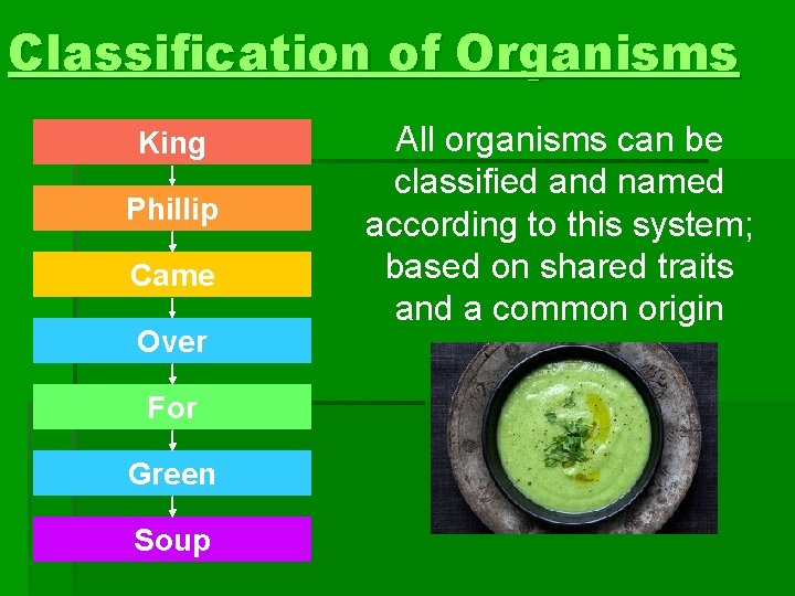 Classification of Organisms Kingdom King Phylum Phillip / Division Came Class Order Over Family