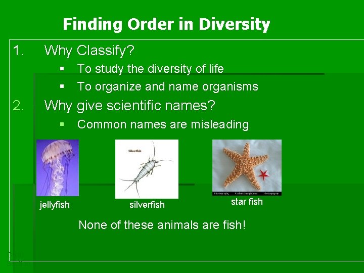 Finding Order in Diversity 1. Why Classify? § To study the diversity of life