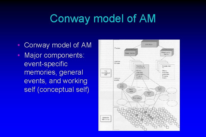 Conway model of AM • Major components: event-specific memories, general events, and working self
