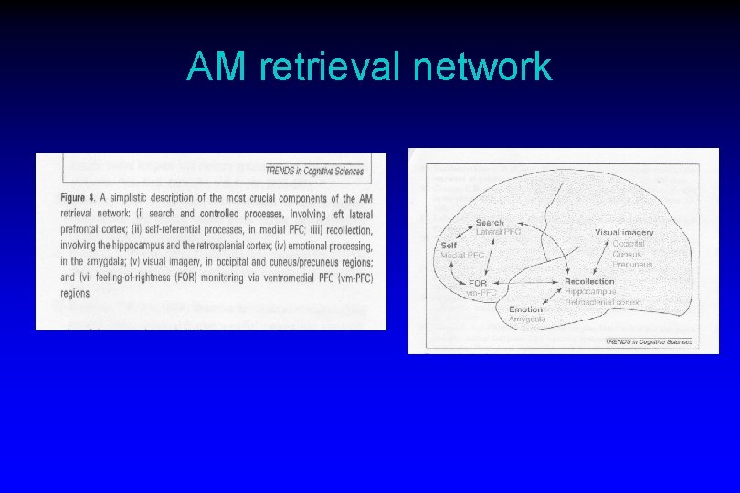 AM retrieval network 