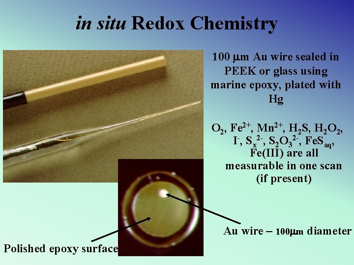 in situ Redox Chemistry 100 mm Au wire sealed in PEEK or glass using