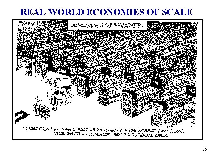 REAL WORLD ECONOMIES OF SCALE 15 