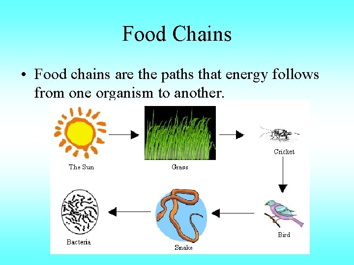 Food Chains • Food chains are the paths that energy follows from one organism