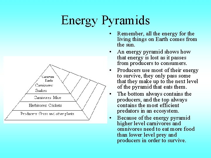 Energy Pyramids • Remember, all the energy for the living things on Earth comes