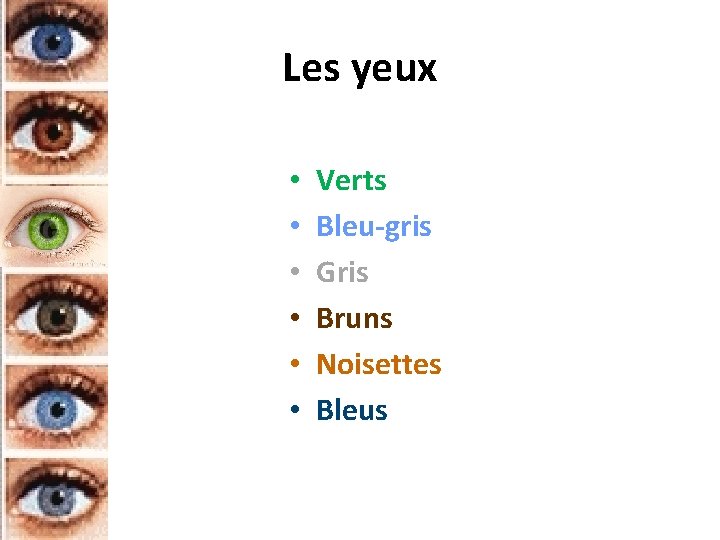 Les yeux • • • Verts Bleu-gris Gris Bruns Noisettes Bleus 