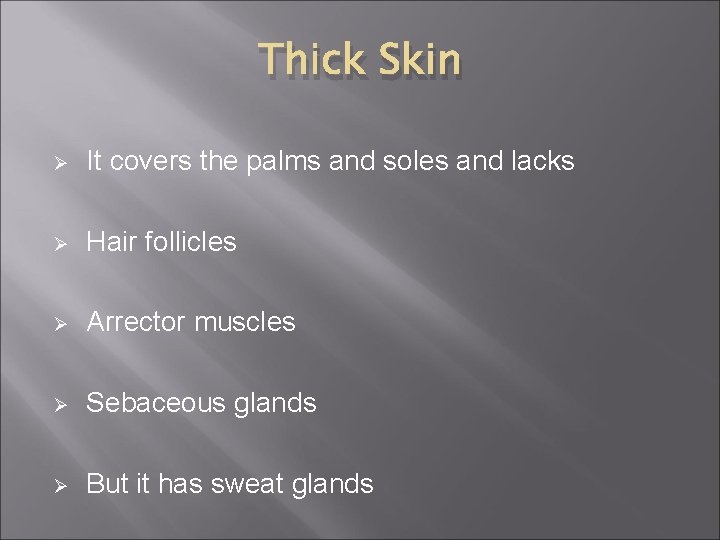 Thick Skin Ø It covers the palms and soles and lacks Ø Hair follicles