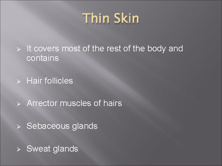 Thin Skin Ø It covers most of the rest of the body and contains