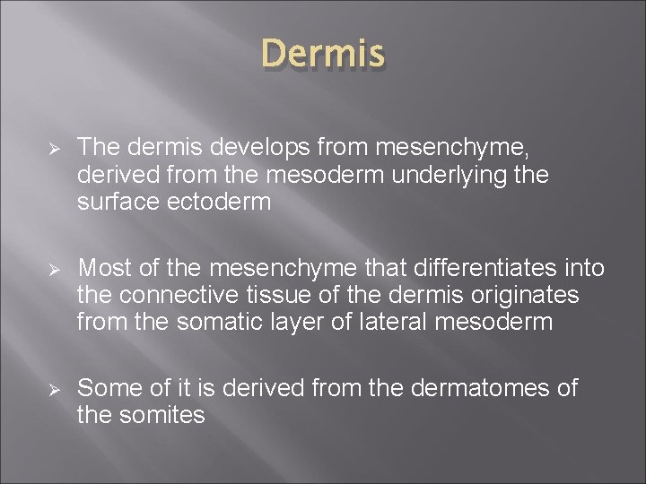 Dermis Ø The dermis develops from mesenchyme, derived from the mesoderm underlying the surface