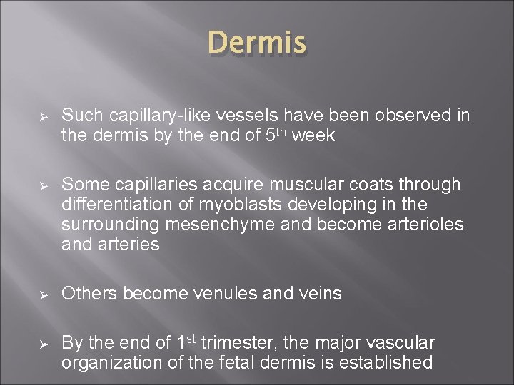 Dermis Ø Such capillary-like vessels have been observed in the dermis by the end